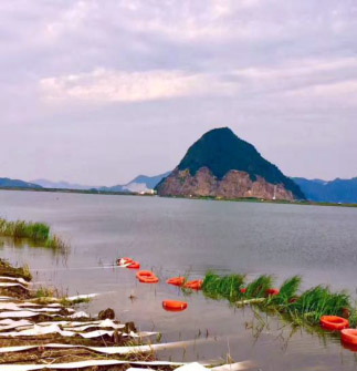 尊龙凯时【官方网站】人生就是搏!